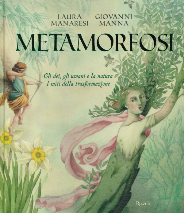 Libro Metamorfosi. Gli dei