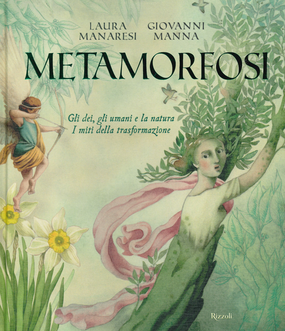 Libro Metamorfosi. Gli dei