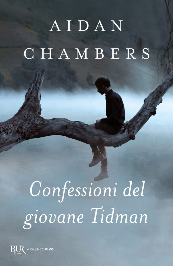 Libro Confessioni del giovane Tidman di Aidan Chambers - ean 9788817157650 - Rizzoli