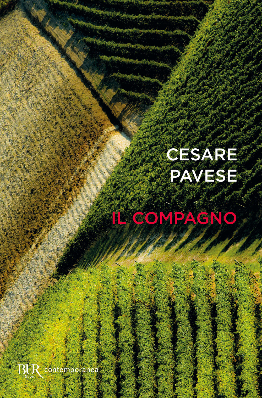 Libro compagno di Cesare Pavese - ean 9788817158688 - Rizzoli