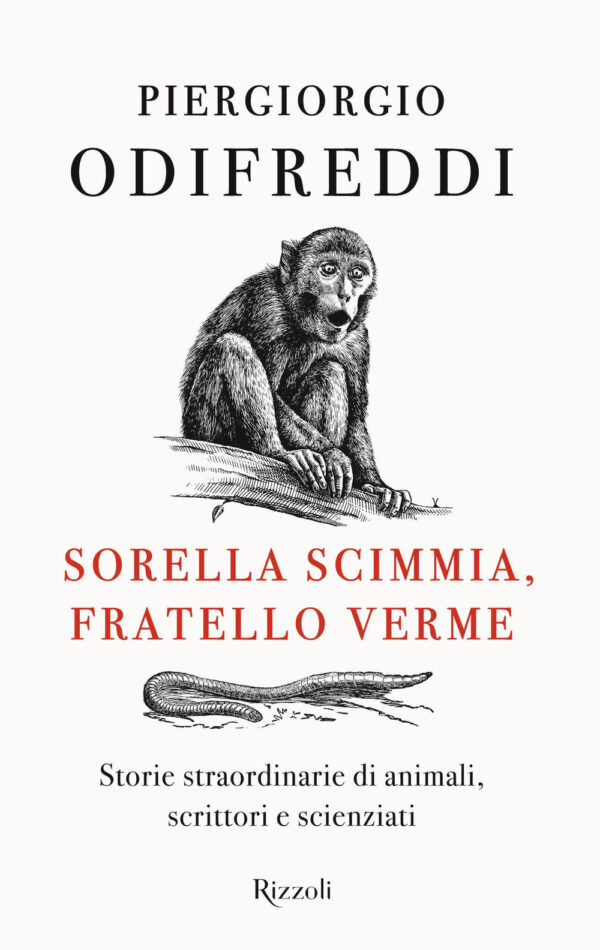 Libro Sorella scimmia