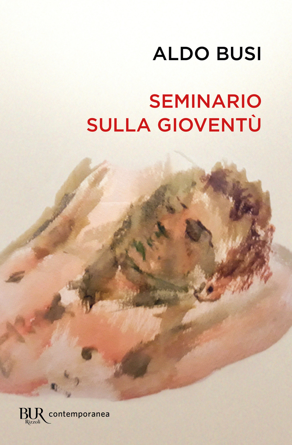Libro Seminario sulla gioventù di Aldo Busi - ean 9788817160247 - Rizzoli