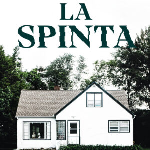 Libro spinta di Ashley Audrain - ean 9788817161954 - Rizzoli