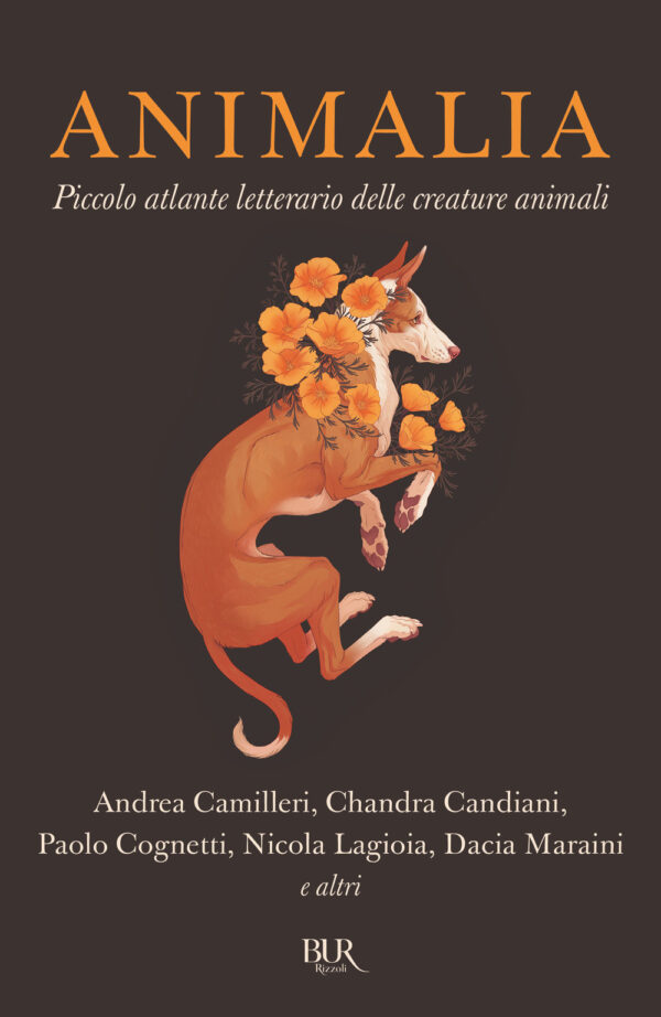 Libro Animalia. Piccolo atlante delle creature animali di  - ean 9788817173896 - Rizzoli