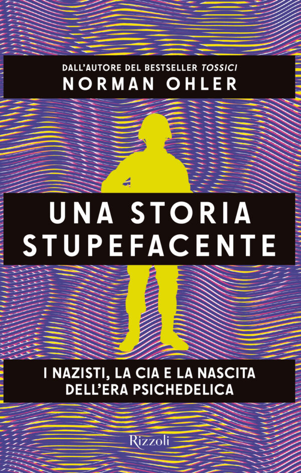 Libro storia stupefacente. I nazisti