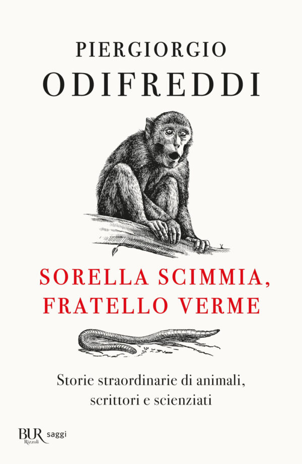 Libro Sorella scimmia
