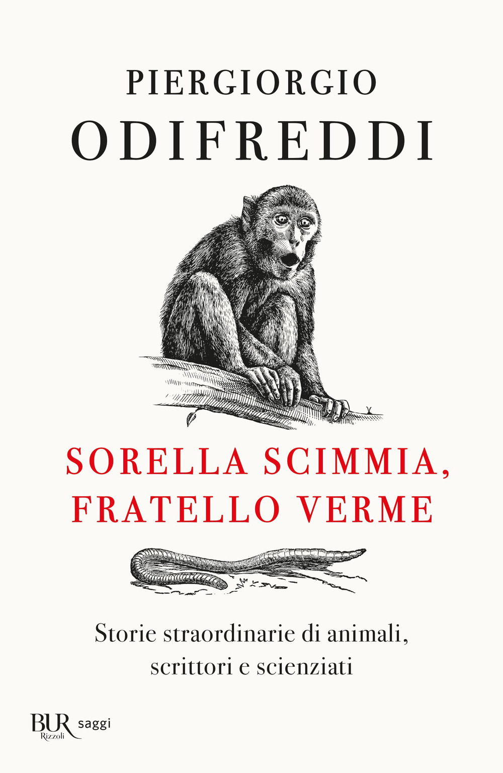 Libro Sorella scimmia