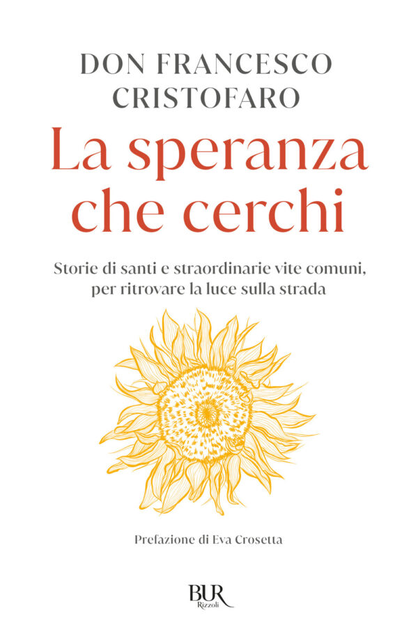 Libro speranza che cerchi. Storie di santi e straordinarie vite comuni