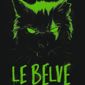 Libro belve di Manlio Castagna; Guido Sgardoli - ean 9788817180832 - Rizzoli