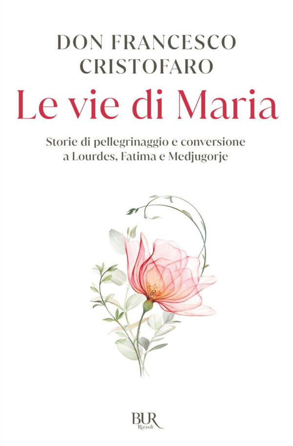 Libro vie di Maria. Storie di pellegrinaggio e conversione a Lourdes