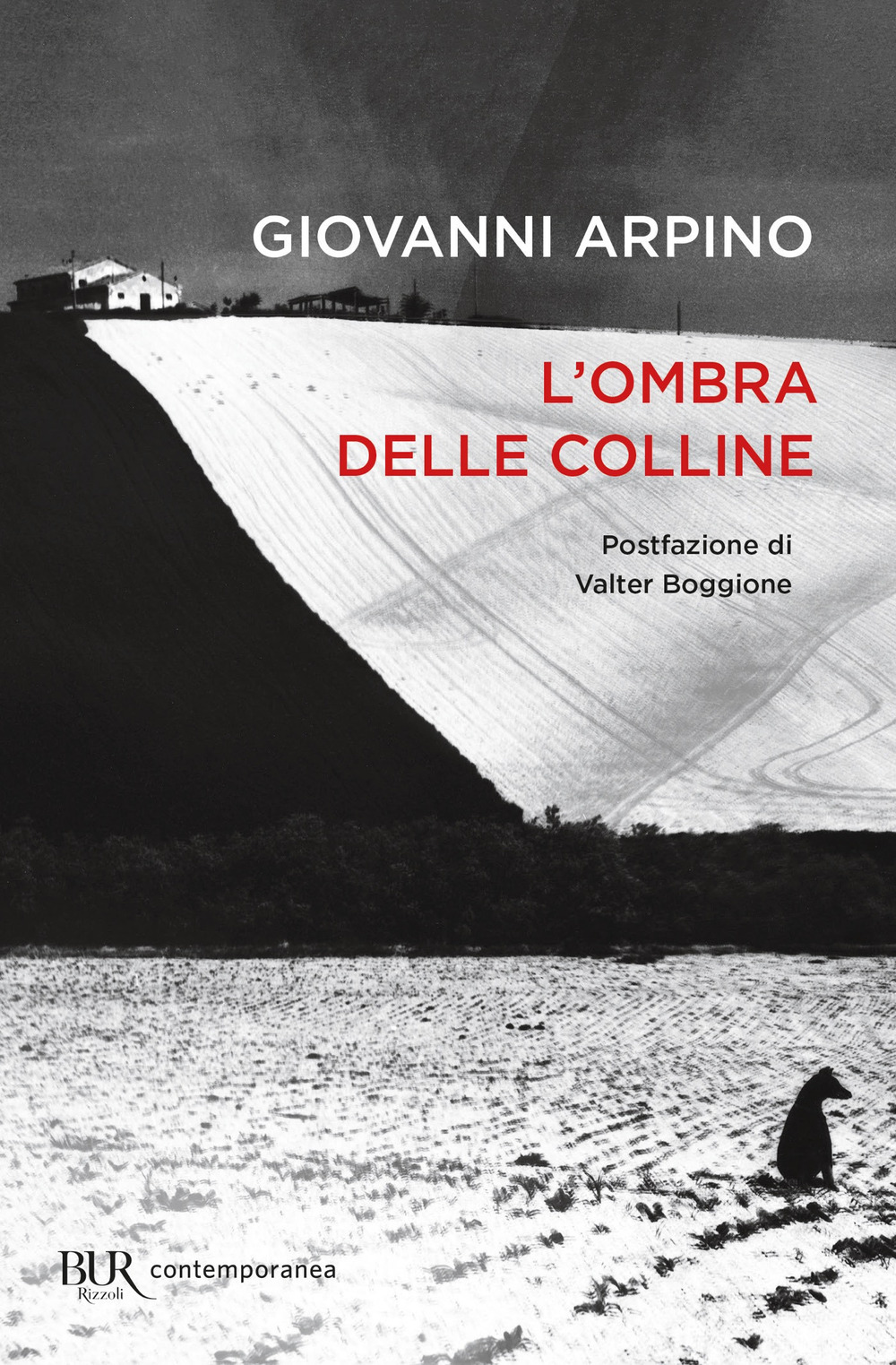 Libro ombra delle colline di Giovanni Arpino - ean 9788817184892 - Rizzoli
