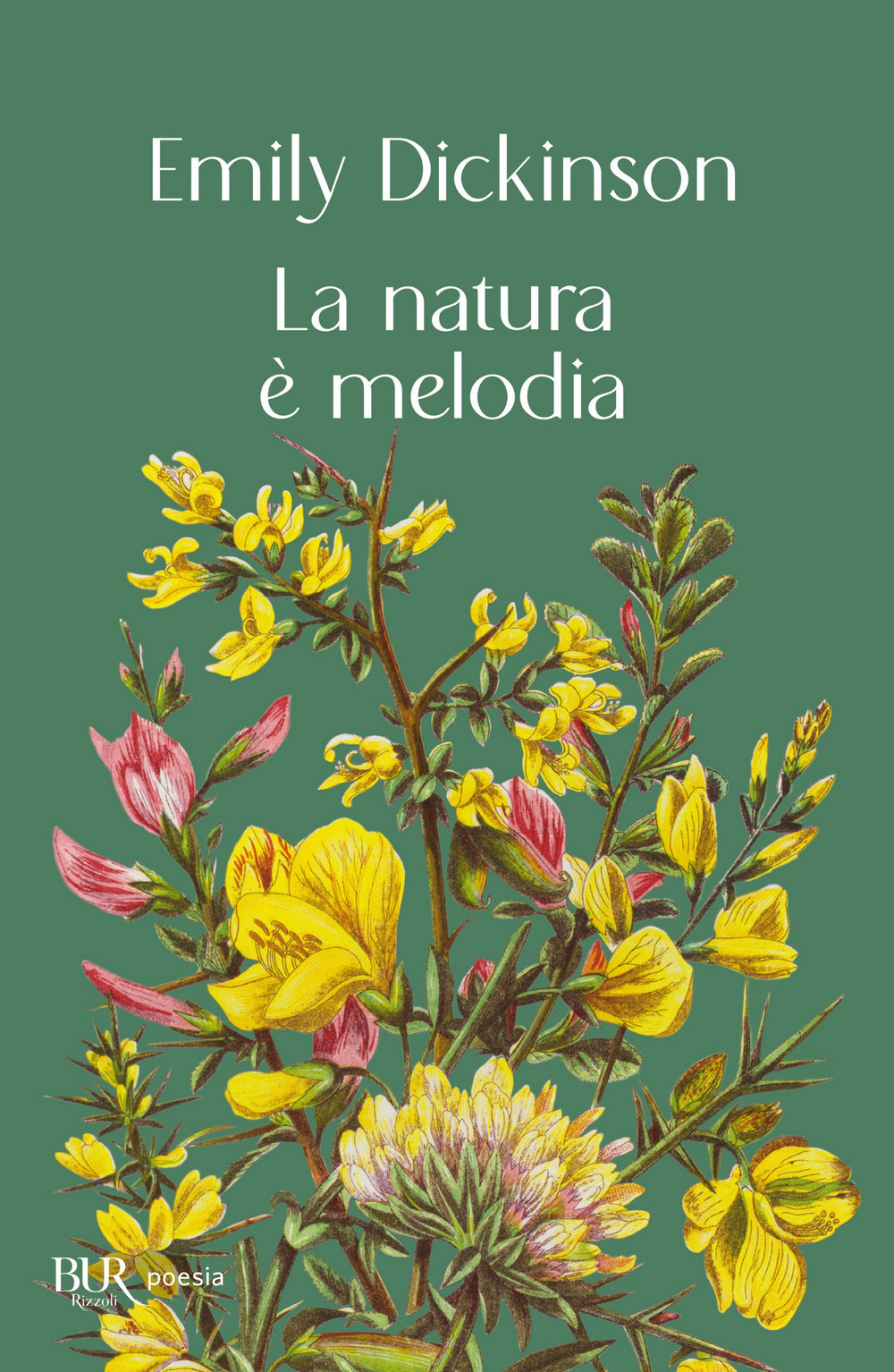 Libro natura è melodia di Emily Dickinson - ean 9788817185660 - Rizzoli