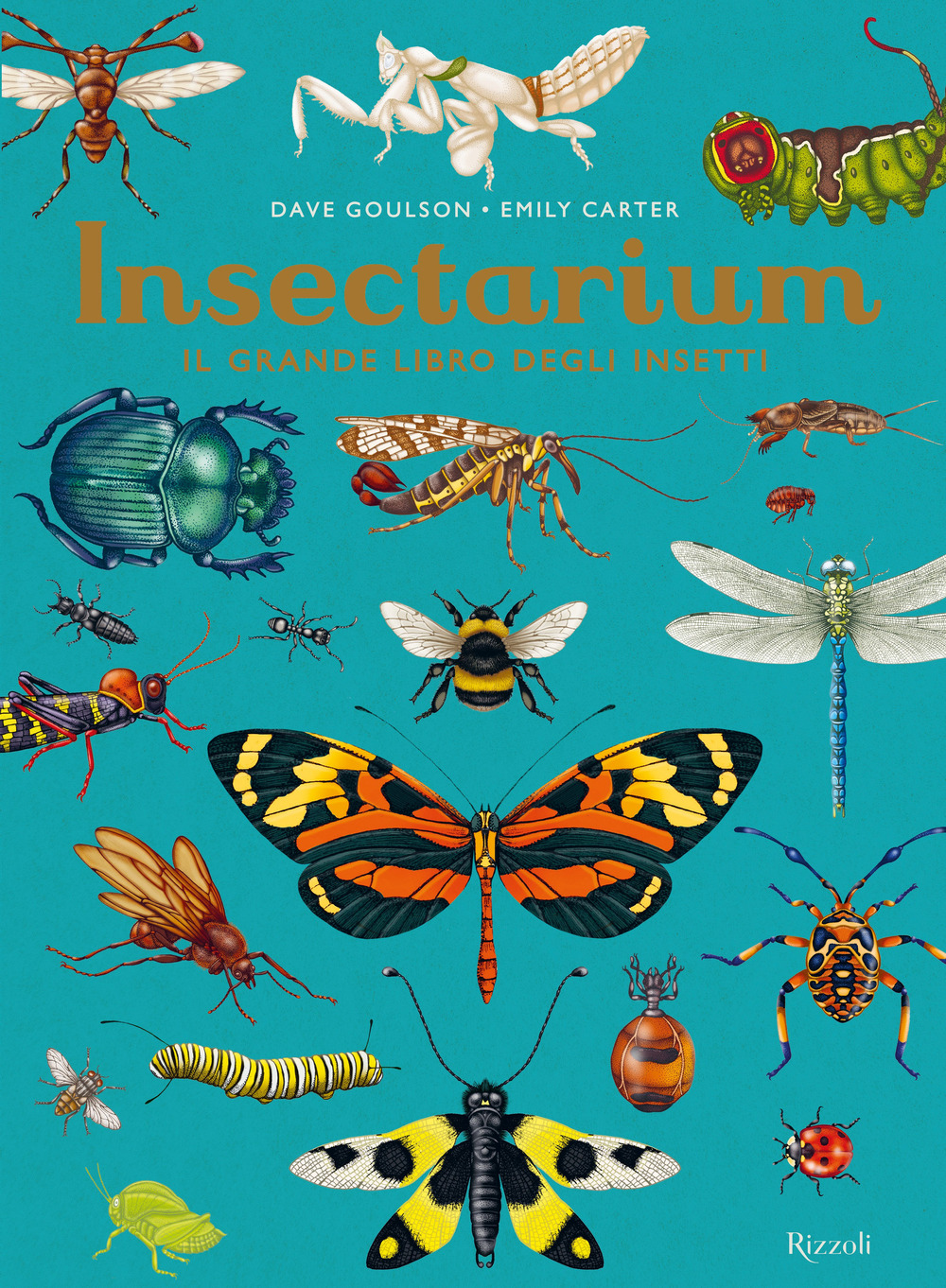 Libro Insectarium. Il grande libro degli insetti di Dave Goulson; Emily Carter - ean 9788817188432 - Rizzoli