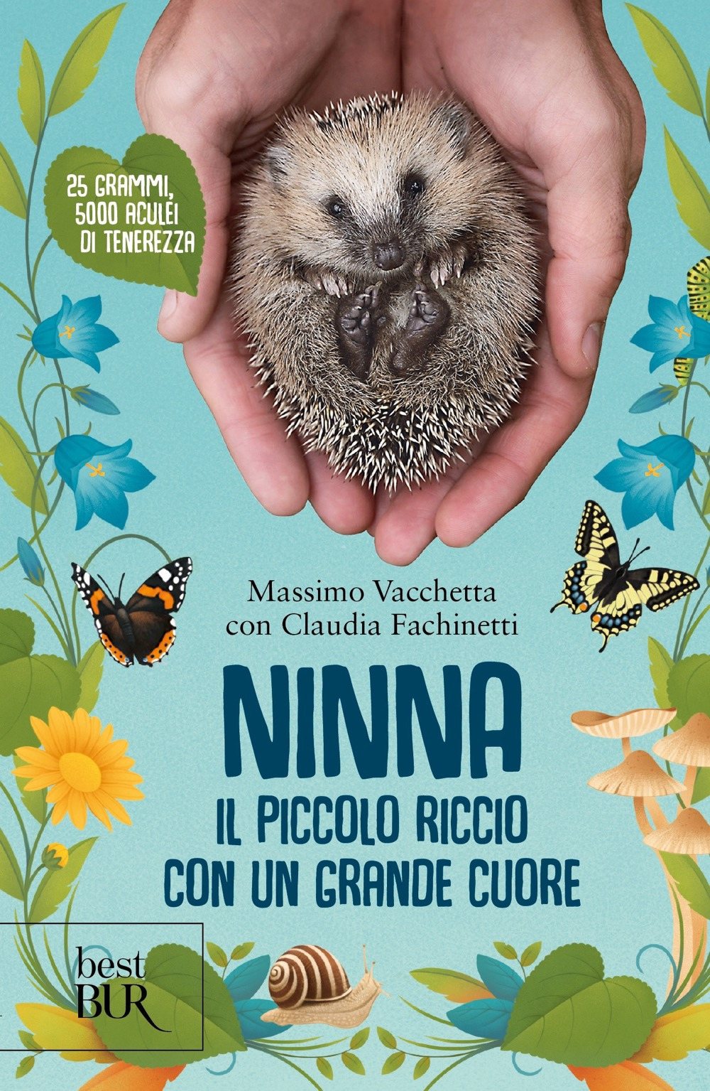 Libro Ninna. Il piccolo riccio con un grande cuore di Massimo Vacchetta; Claudia Fachinetti - ean 9788817192309 - Rizzoli