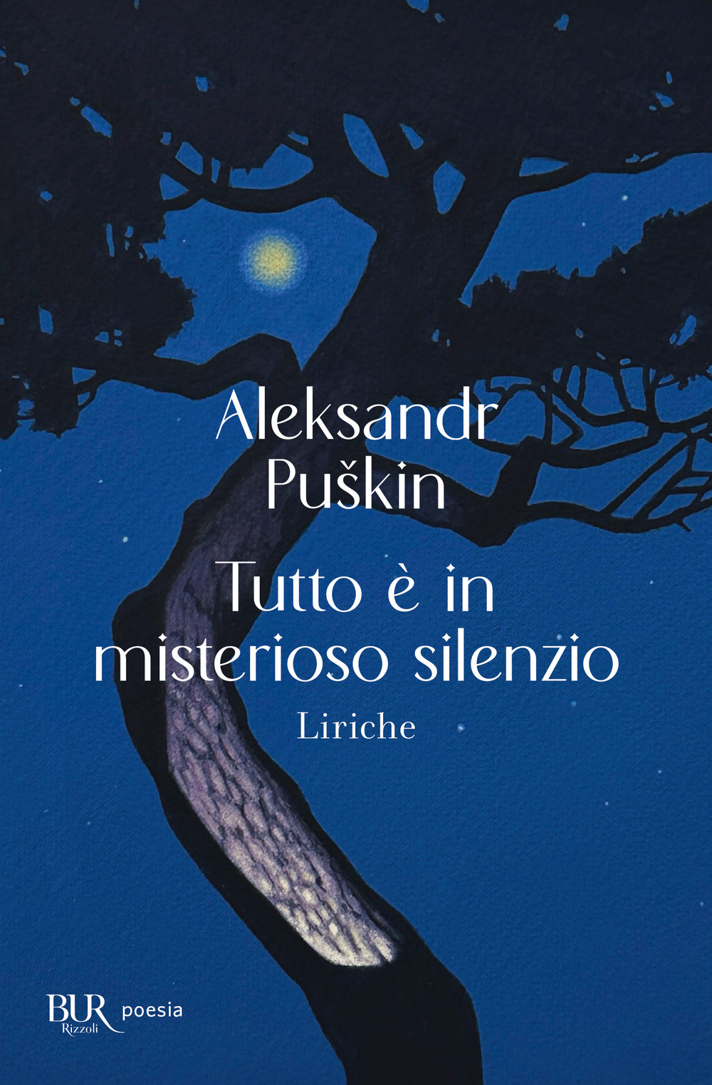 Libro Tutto è in misterioso silenzio. Liriche di Aleksandr Sergeevic Puškin - ean 9788817193047 - Rizzoli