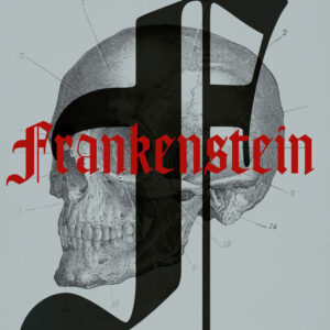 Libro Frankenstein. Ediz. inglese di Mary Shelley - ean 9788818040371 - Rusconi Libri