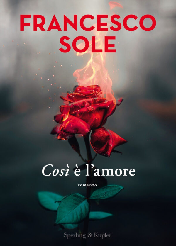 Libro Così è l'amore di Francesco Sole - ean 9788820070434 - Sperling & Kupfer