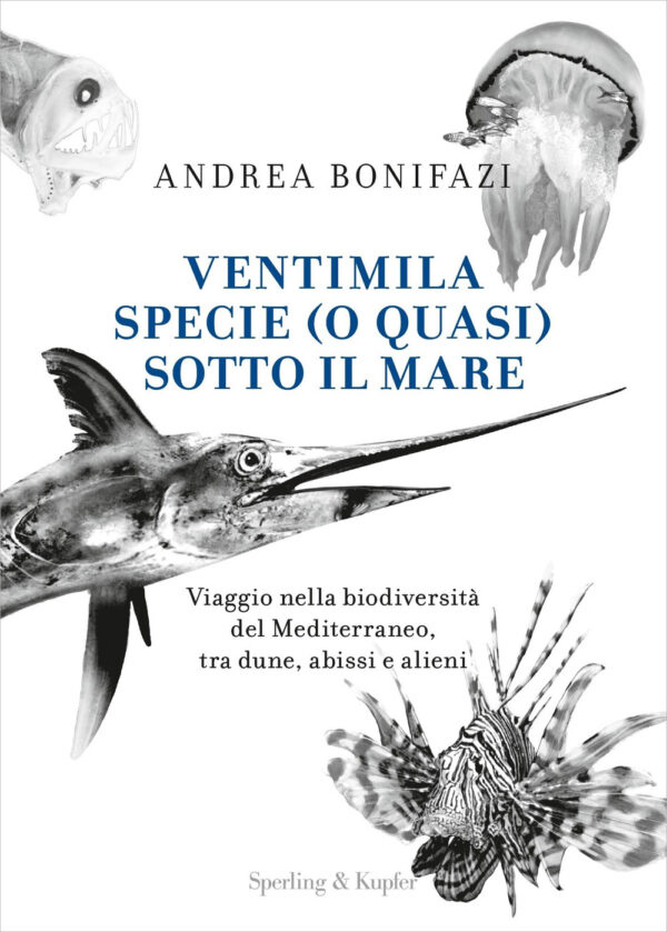 Libro Ventimila specie (o quasi) sotto il mare. Viaggio nella biodiversità del Mediterraneo