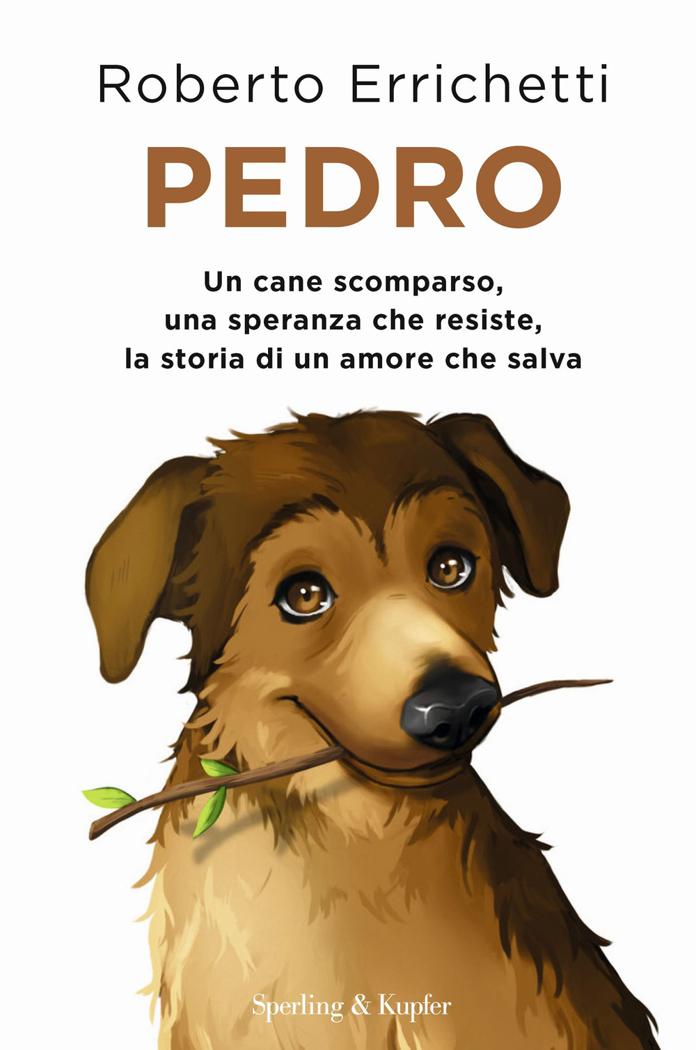 Libro Pedro. Un cane scomparso