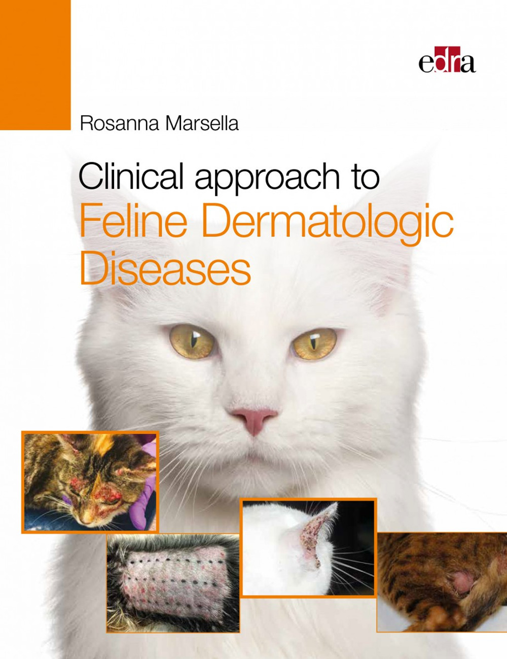 Libro Clinical approach to feline dermatologic diseases di Rosanna Marsella - ean 9788821450761 - Edra