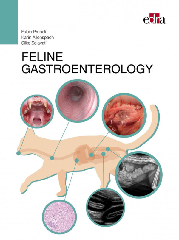 Libro Feline gastroenterology di Fabio Procoli; Karin Allenspach; Silke Salavati - ean 9788821452338 - Edra