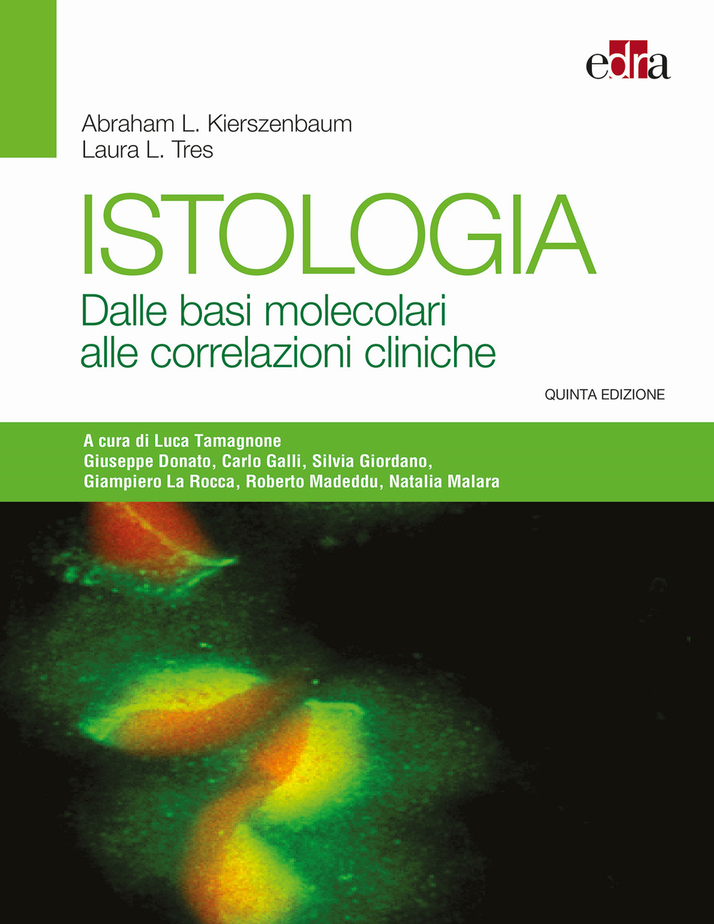 Libro Istologia. Dalle basi molecolari alle correlazioni cliniche di Abraham L. Kierszenbaum; Laura L. Tres - ean 9788821452406 - Edra