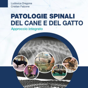 Libro Patologie spinali del cane e del gatto. Approccio integrato di Cristian Falzone; Ludovica Dragone - ean 9788821452482 - Edra