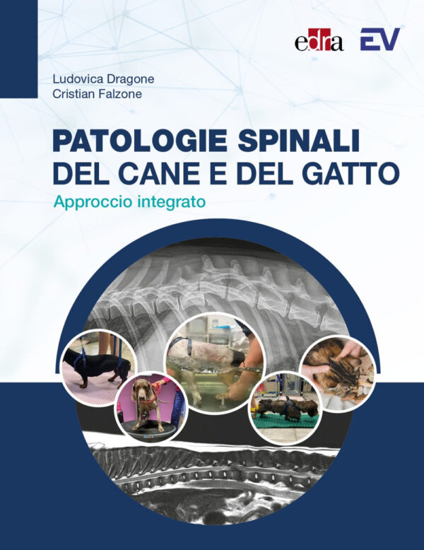Libro Patologie spinali del cane e del gatto. Approccio integrato di Cristian Falzone; Ludovica Dragone - ean 9788821452482 - Edra
