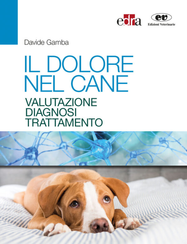 Libro dolore nel cane. Valutazione