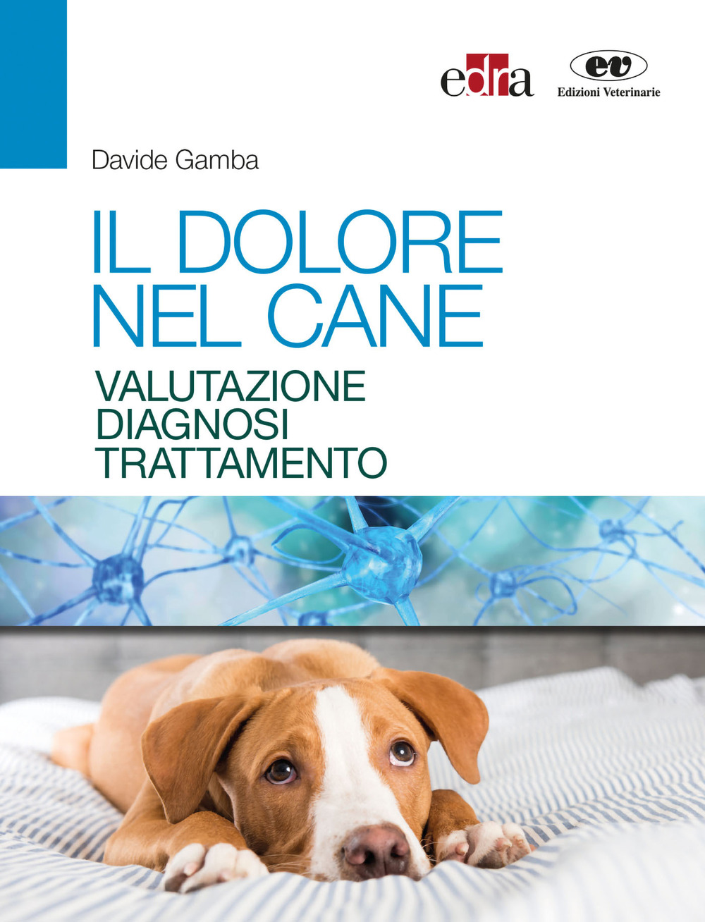 Libro dolore nel cane. Valutazione