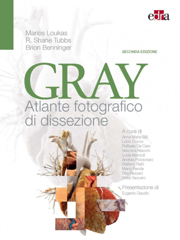 Libro Gray. Atlante fotografico di dissezione di Marios Loukas; Brion Benninger; Shane R. Tubbs - ean 9788821454578 - Edra