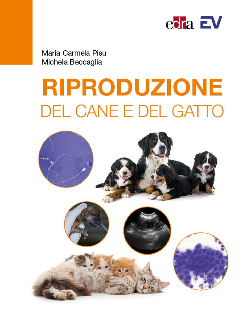 Libro Riproduzione del cane e del gatto di Maria Carmela Pisu; Michela Beccaglia - ean 9788821454707 - Edra