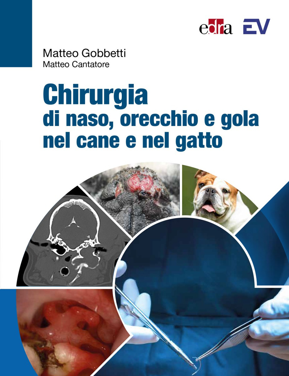 Libro Chirurgia di naso