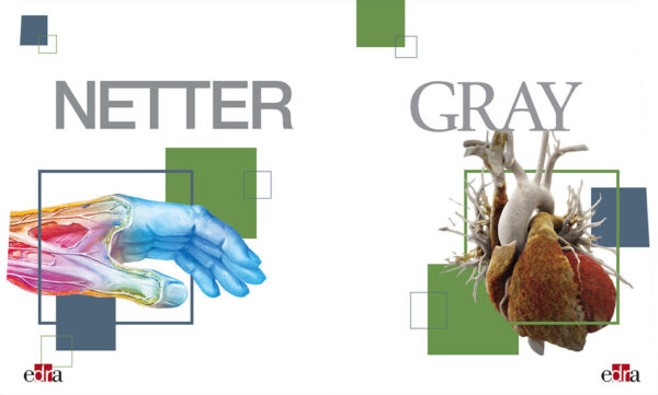 Libro Netter Gray. L'anatomia: Anatomia del Gray-Atlante di anatomia umana di Netter di Frank H. Netter; Susan Standring - ean 9788821454943 - Edra