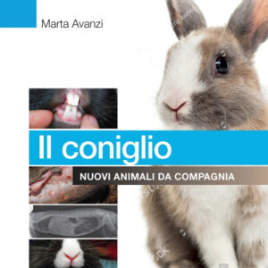 Libro coniglio. Nuovi animali da compagnia di Marta Avanzi - ean 9788821454998 - Edra