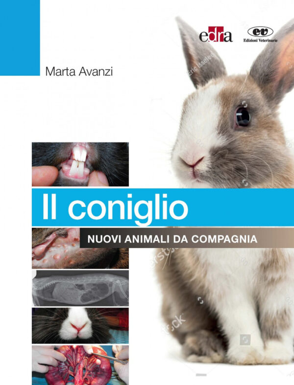 Libro coniglio. Nuovi animali da compagnia di Marta Avanzi - ean 9788821454998 - Edra