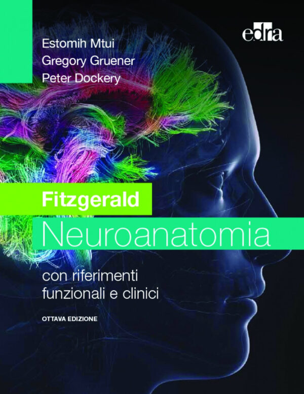 Libro Fitzgerald. Neuroanatomia con riferimenti funzionali e clinici di Estomih Mtui; Gregory Gruener; Peter Dockery - ean 9788821455285 - Edra