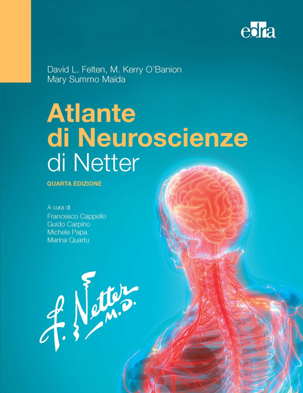 Libro Atlante di neuroscienze di Netter di David L. Felten; M. Kerry O'Banion; Mary Summo Maida - ean 9788821456299 - Edra