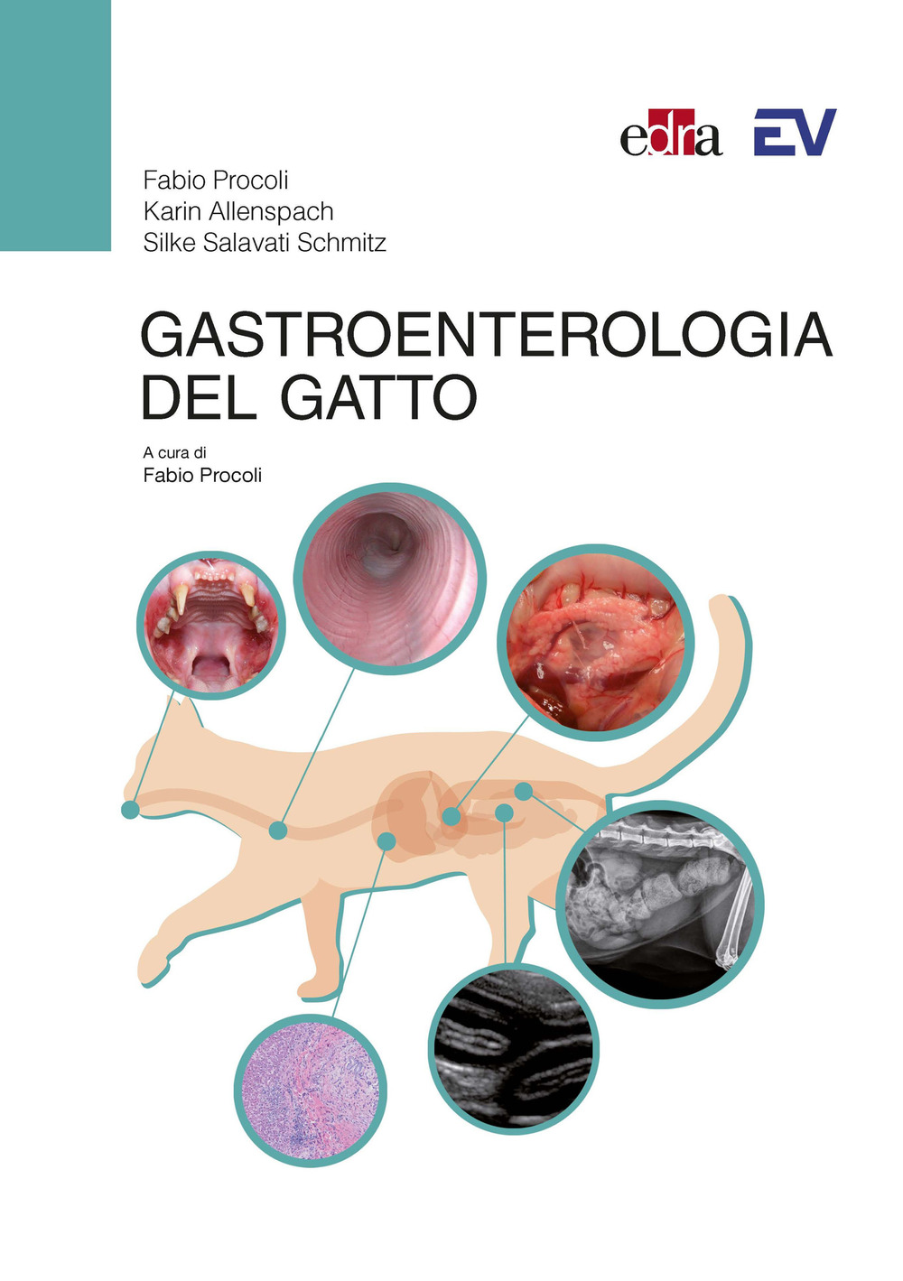 Libro Gastroenterologia del gatto di Fabio Procoli; Karin Allenspach; Silke Salavati - ean 9788821456466 - Edra