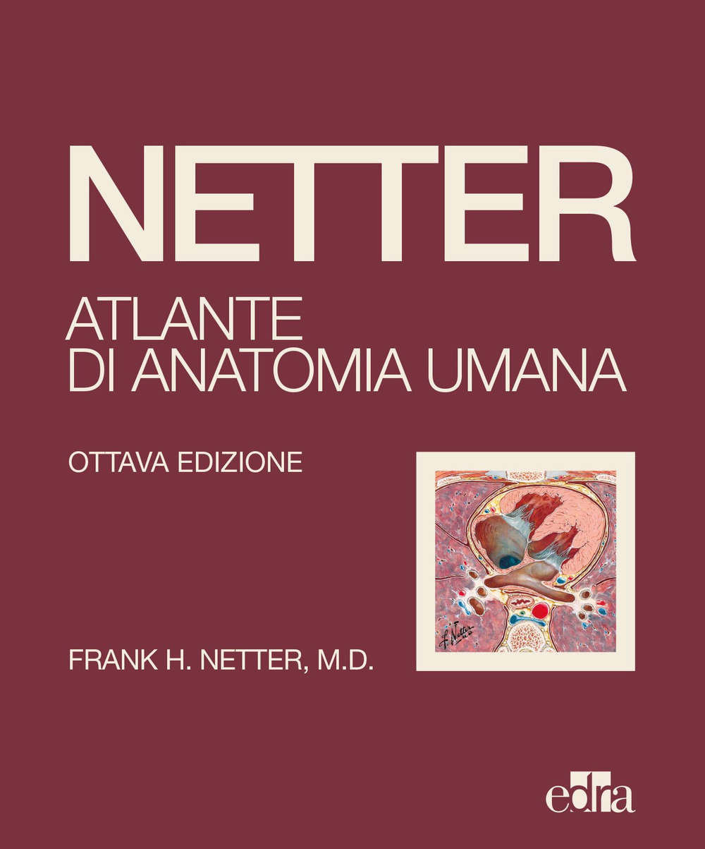 Libro Netter. Atlante di anatomia umana di Frank H. Netter - ean 9788821457111 - Edra