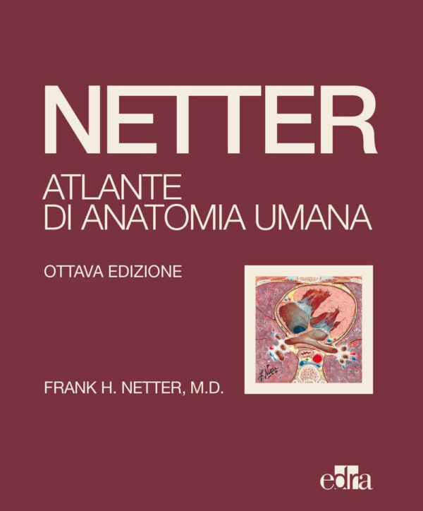 Libro Netter. Atlante di anatomia umana di Frank H. Netter - ean 9788821457135 - Edra