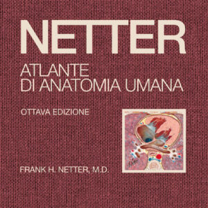 Libro Netter. Atlante di anatomia umana di Frank H. Netter - ean 9788821457142 - Edra