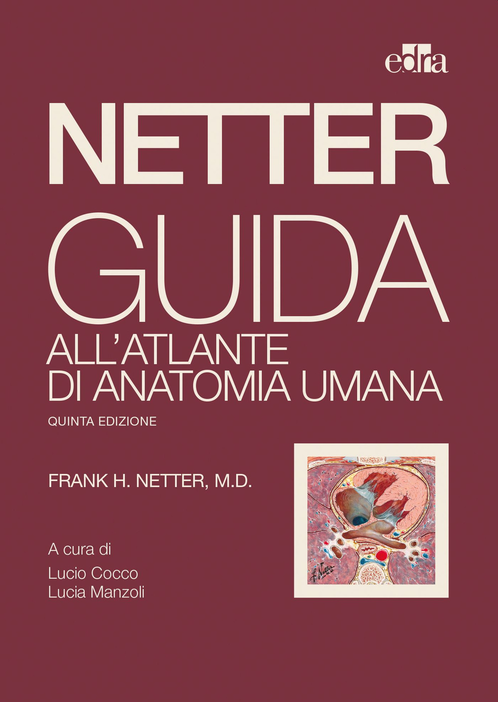 Libro Netter. Guida all'atlante di anatomia umana di Frank H. Netter - ean 9788821457159 - Edra