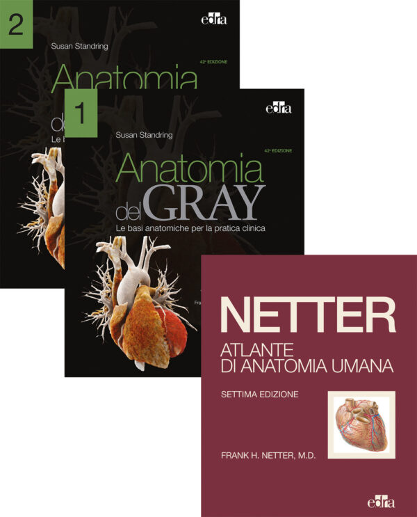 Libro Netter Gray. L'anatomia: Anatomia del Gray-Atlante di anatomia umana di Netter di Frank H. Netter; Susan Standring - ean 9788821457173 - Edra