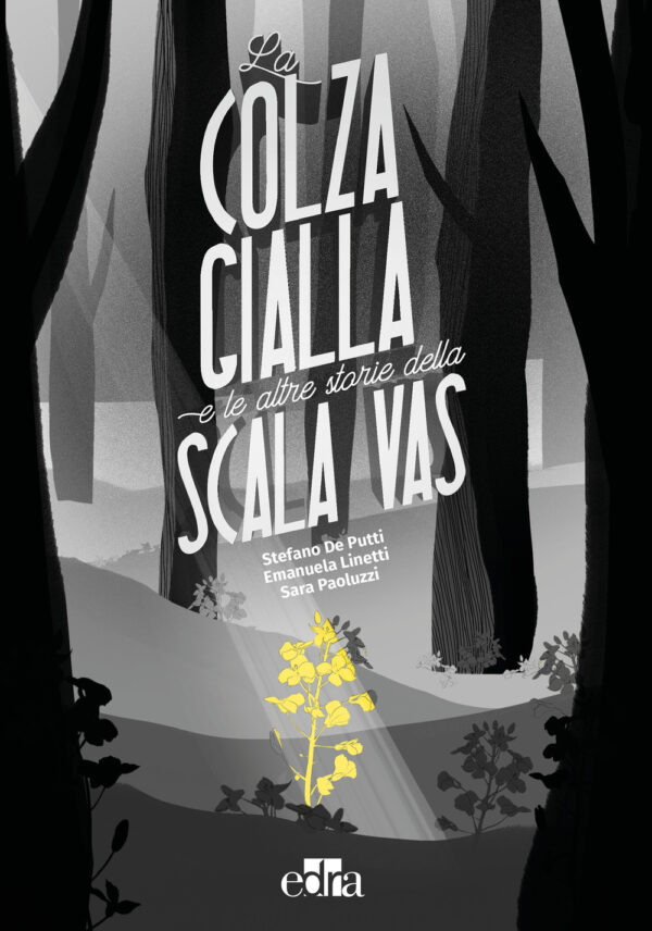 Libro colza gialla e le altre storie della Scala VAS di Stefano De Putti; Emanuela Linetti; Sara Paoluzzi - ean 9788821457296 - Edra