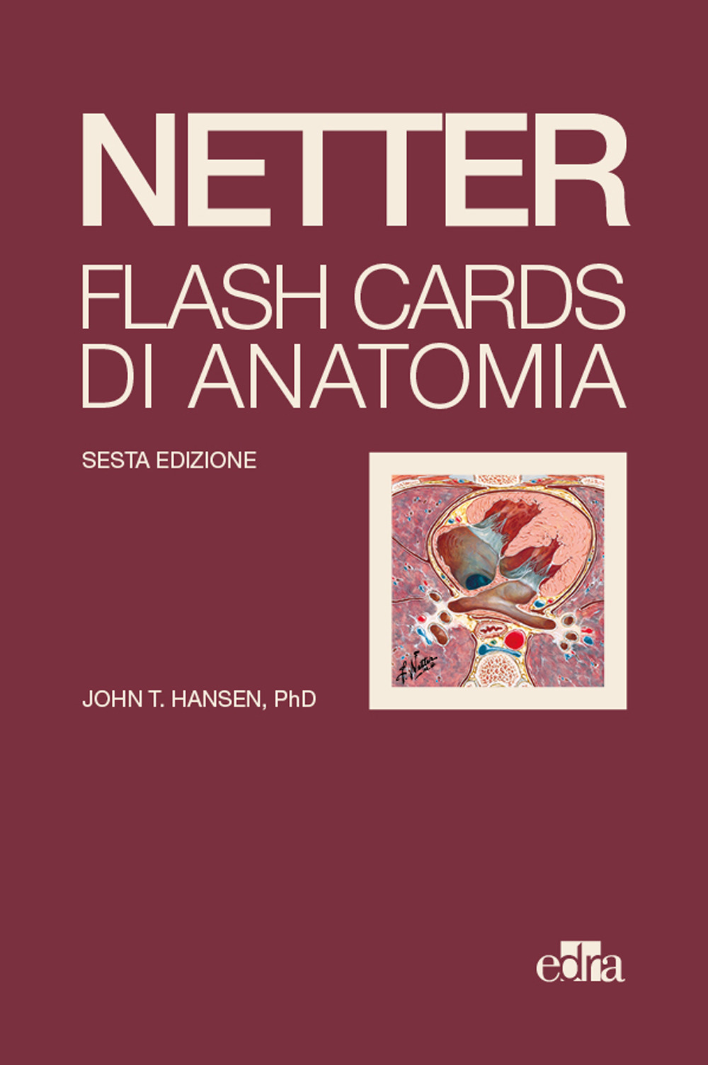 Libro Netter Flash cards di anatomia di John T. Hansen - ean 9788821457579 - Edra