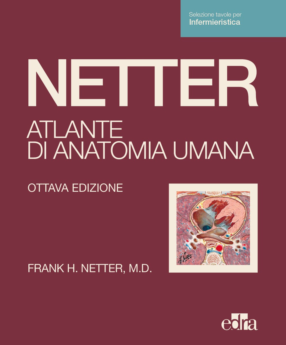 Libro Netter. Atlante di anatomia umana. Scienze infermieristiche di Frank H. Netter - ean 9788821457739 - Edra