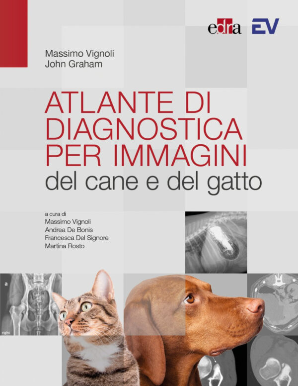 Libro Atlante di diagnostica per immagini del cane e del gatto di Massimo Vignoli; John Graham - ean 9788821457869 - Edra