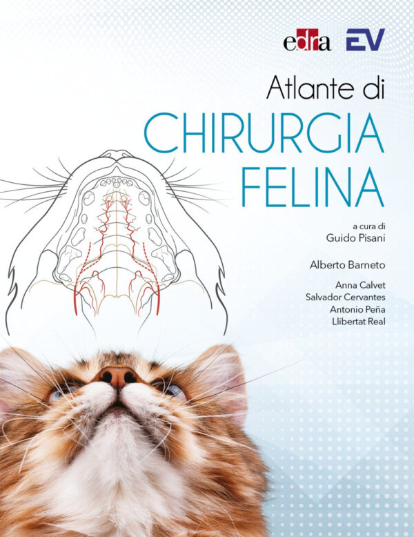 Libro Atlante di chirurgia felina di Alberto Barneto; Anna Calvet; Salvador Cervantes; Antonio Pena; Llibertat Real - ean 9788821458231 - Edra