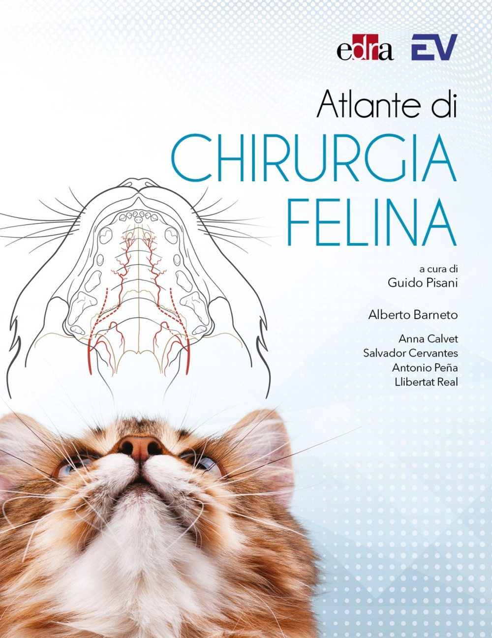 Libro Atlante di chirurgia felina di Alberto Barneto; Anna Calvet; Salvador Cervantes; Antonio Pena; Llibertat Real - ean 9788821458231 - Edra